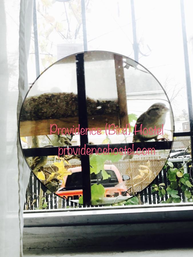 Providence Hostel & Guest House Dış mekan fotoğraf