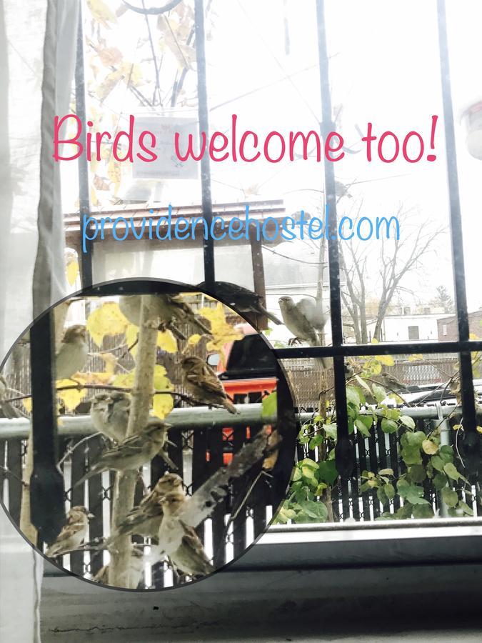 Providence Hostel & Guest House Dış mekan fotoğraf